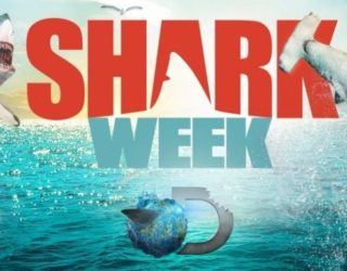 Discovery Channel Shark Week - Commercial