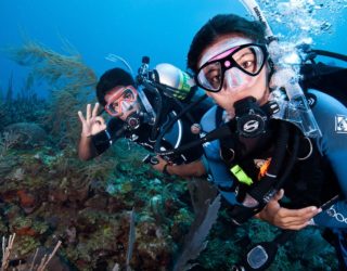 Scuba Divers for Financial Campaign
