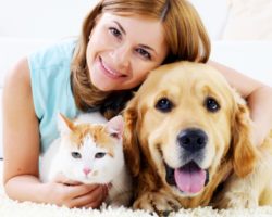 Real Pet Businesses for Reality TV Show 